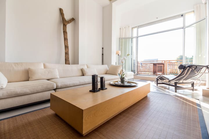 Classy and spacious 19th cent loft with terrace.