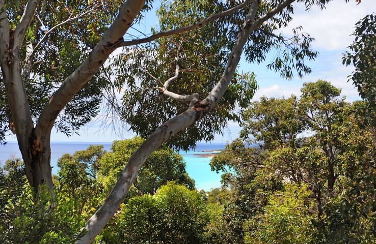 Kestral Ashore gallery image 2