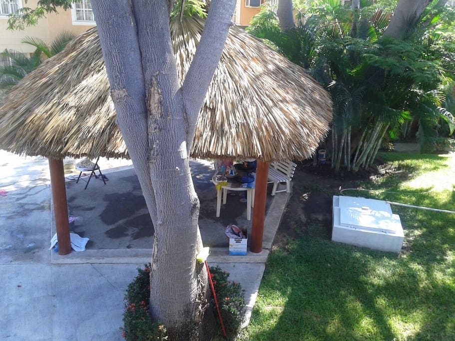 Palapa común
