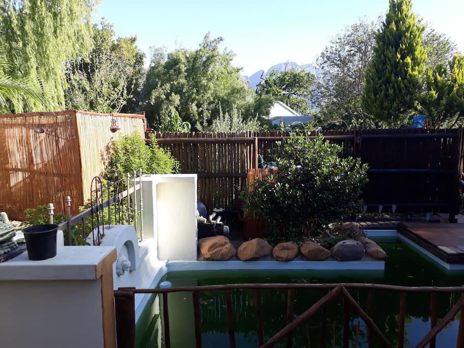 Garden & Plunge Pool