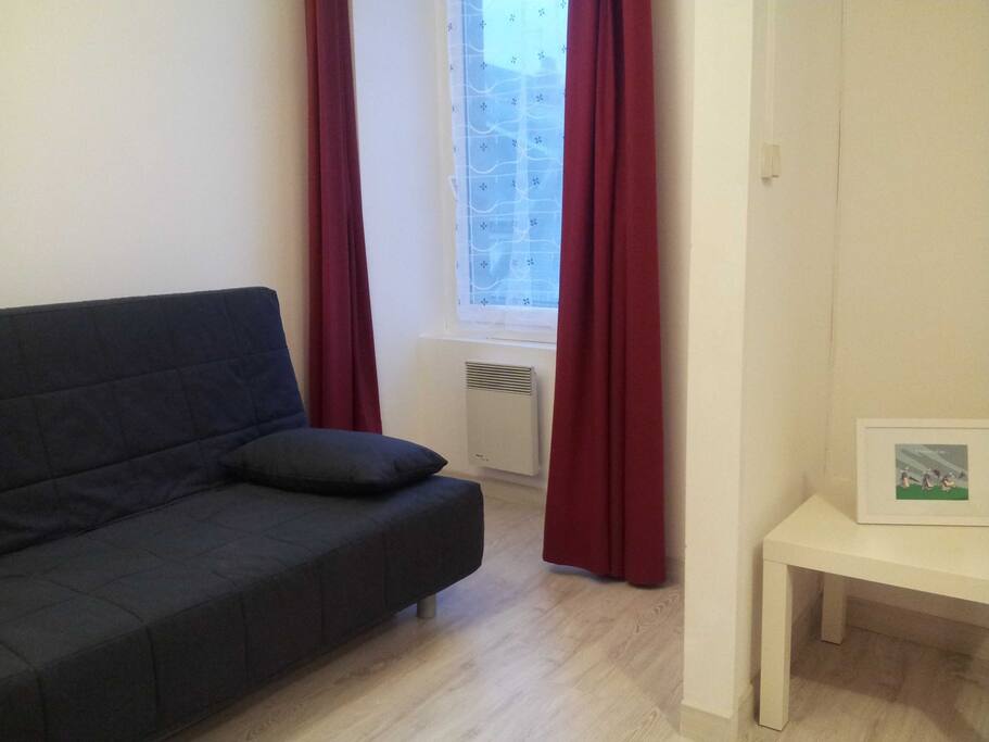 Alcôve avec Canapé convertible. Un rideau permet d'en faire une chambre