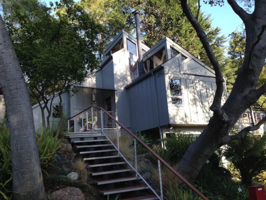 Side of the house, stairs to the main entrance (level 2)
