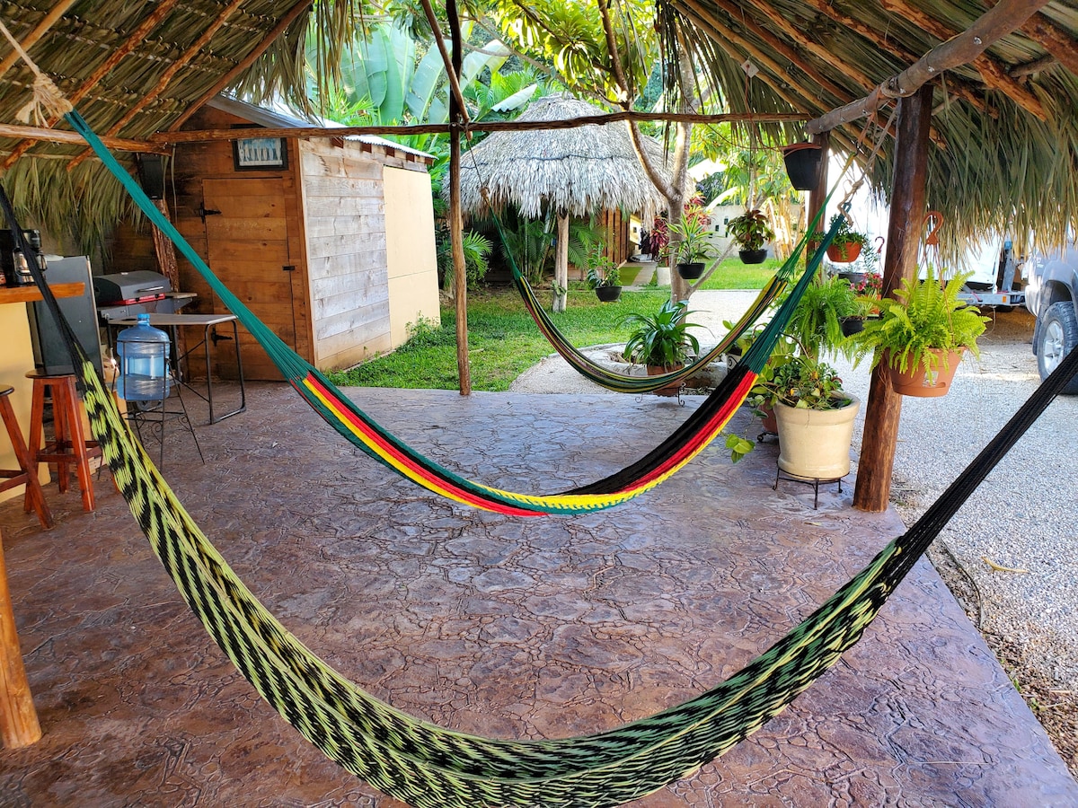 Two vibrant hammocks are suspended in a shaded outdoor area. Lush greenery and tropical plants are visible in the background, alongside wooden structures. The flooring appears textured and concrete, contributing to the rustic atmosphere.