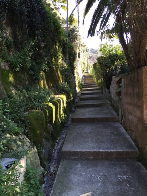 Les escaliers d'accès