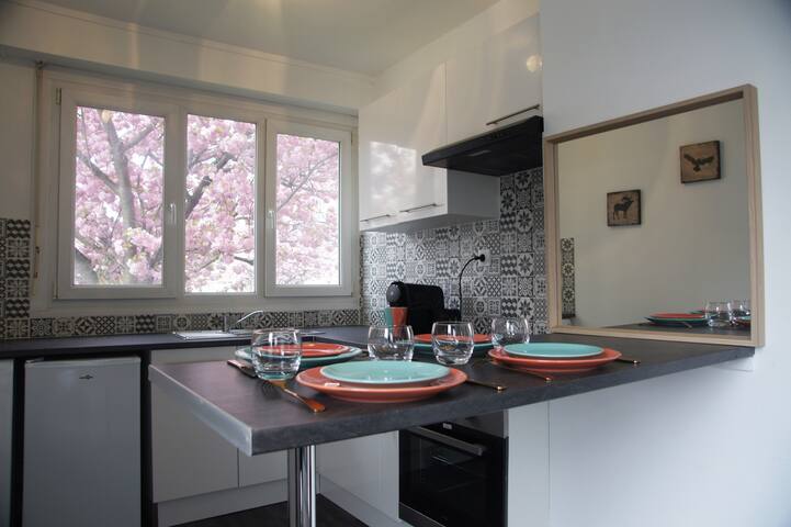 Appart Mairie De Marcq 10 Mn A Pieds Du Tram Official Apartment In Marcq En Baroeul France 1 Bedroom 1 Bathroom