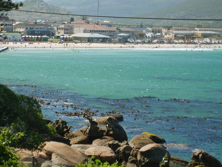 Beach View