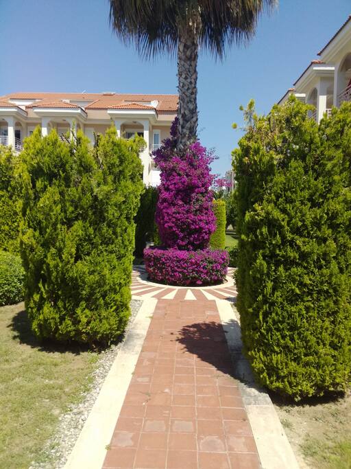 Garden Area