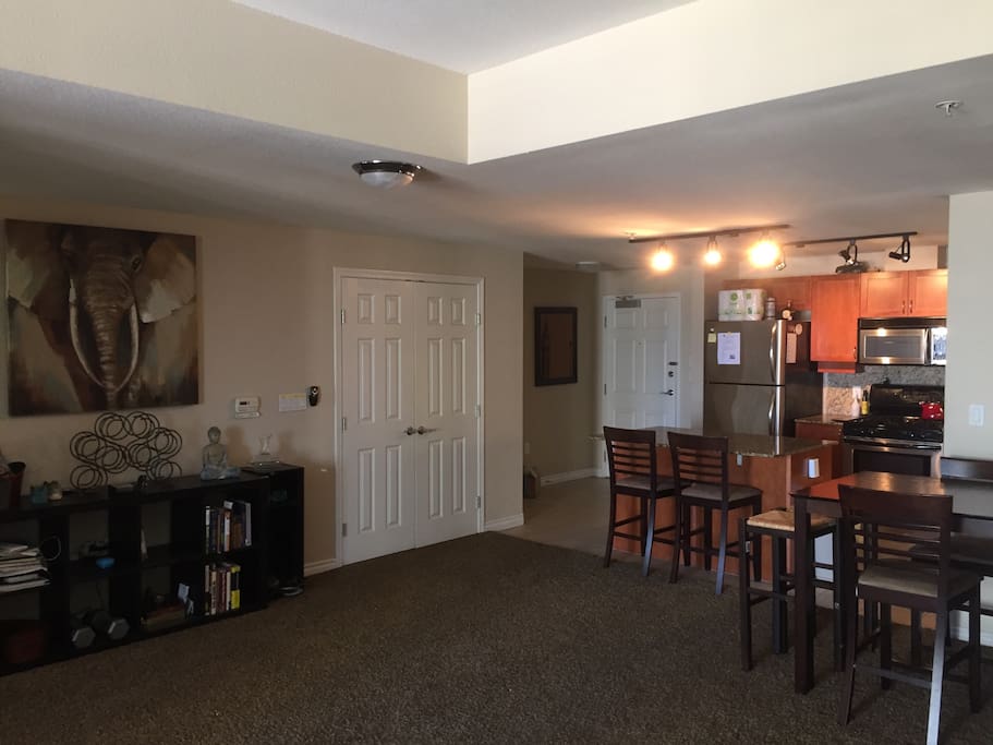 Massive Living Room and Open Kitchen Floor Plan