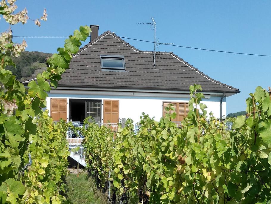 vue vignes