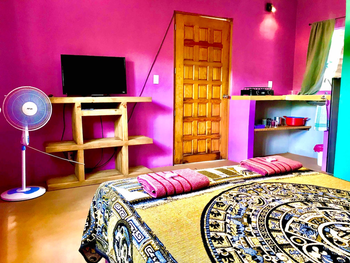 A vibrant room showcases purple walls and a cozy sleeping area with a decorative blanket. A wooden TV stand holds a television, and a ceiling fan provides comfort. A wooden door leads to the entry, while the kitchenette area is visible in the background.
