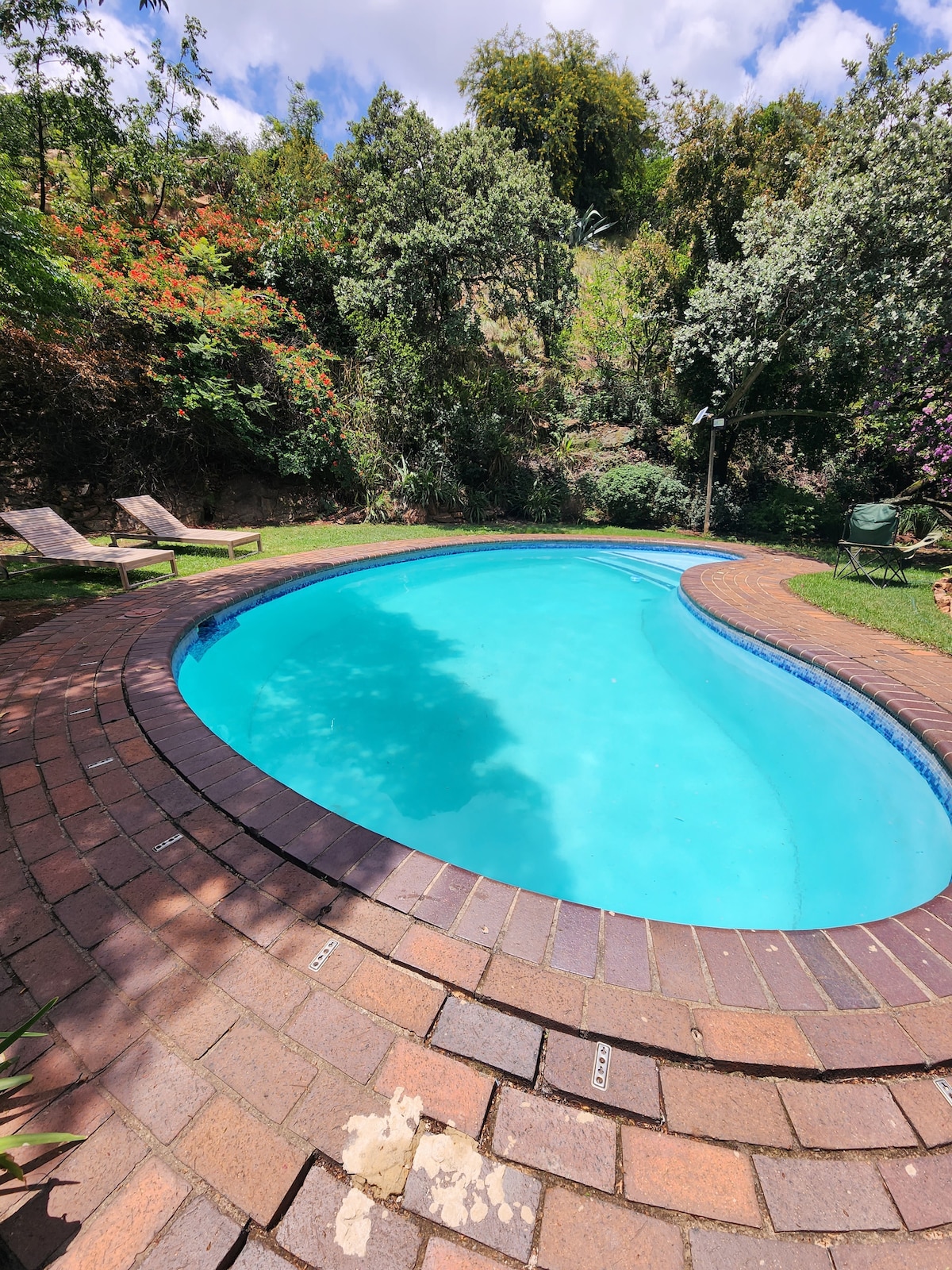 A curved swimming pool is surrounded by lush greenery, with vibrant plants and trees in the background. Two lounge chairs are positioned nearby on a brick patio, inviting relaxation under the sun.