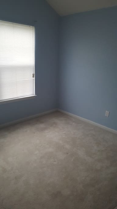 Guest Bedroom (air mattress available)