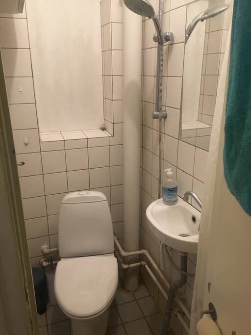 A small copenhagen like bathroom with both a toilet and a shower.