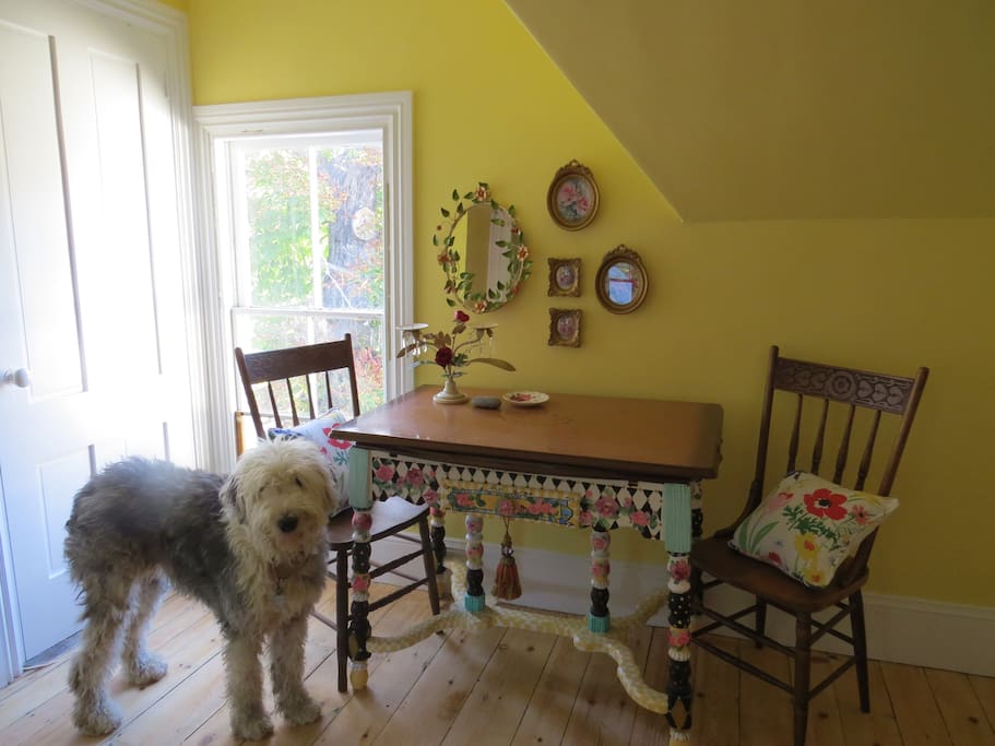 Kitchenette and resident Old English Sheepdog Welcome Committee
