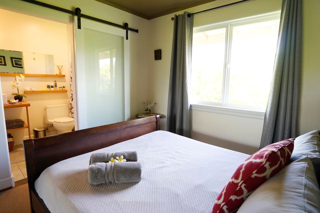 your room with Queen size bed and direct access to your private Bathroom (Barn door with privacy glass)