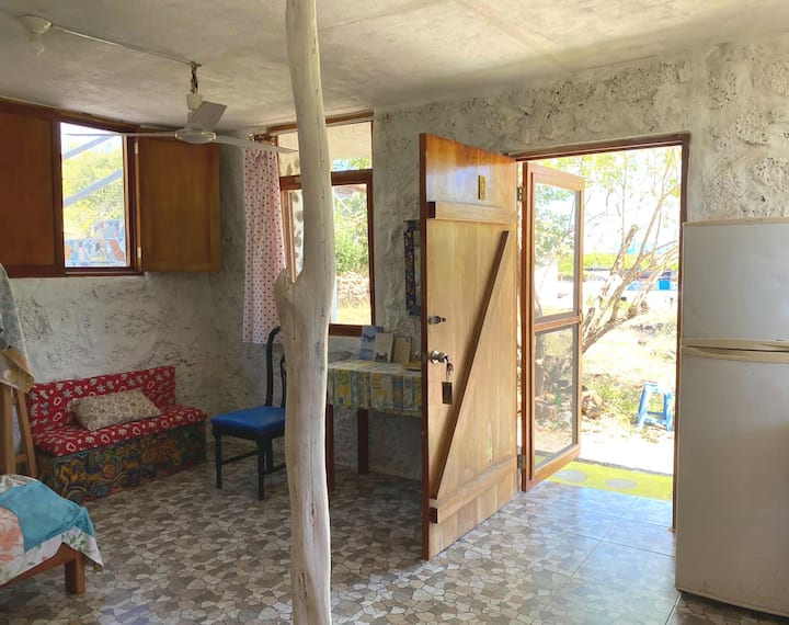 Yellow Room At Franklins Bay - Galápagos Islands