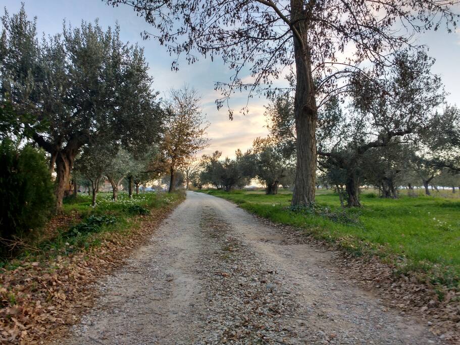 Verso il Casale...