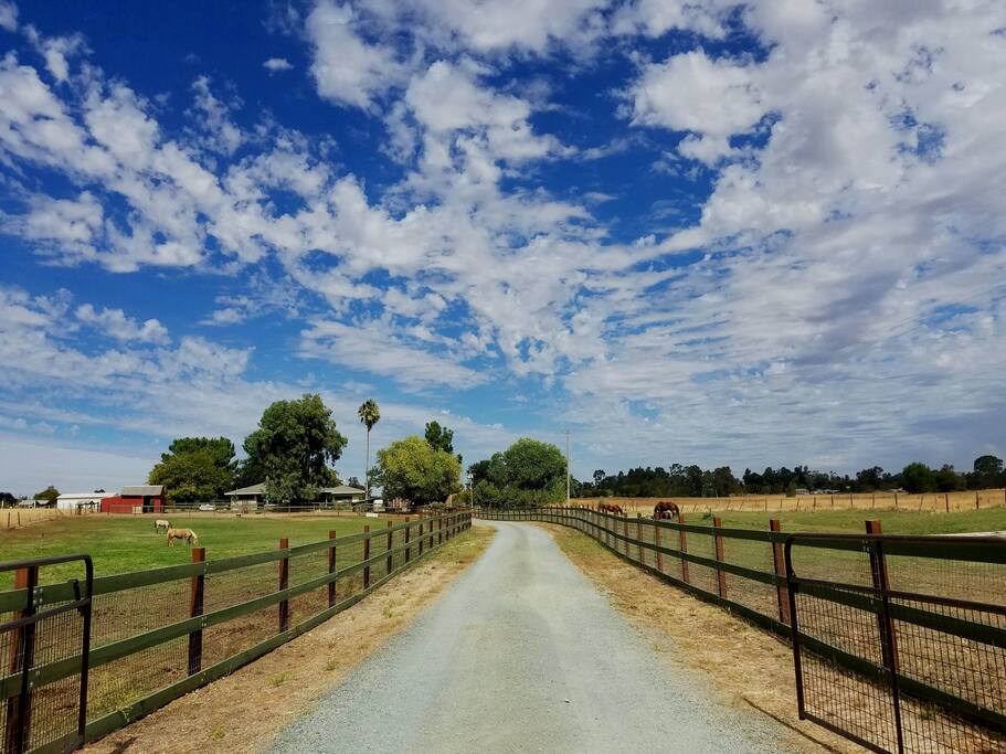 View from the road.
