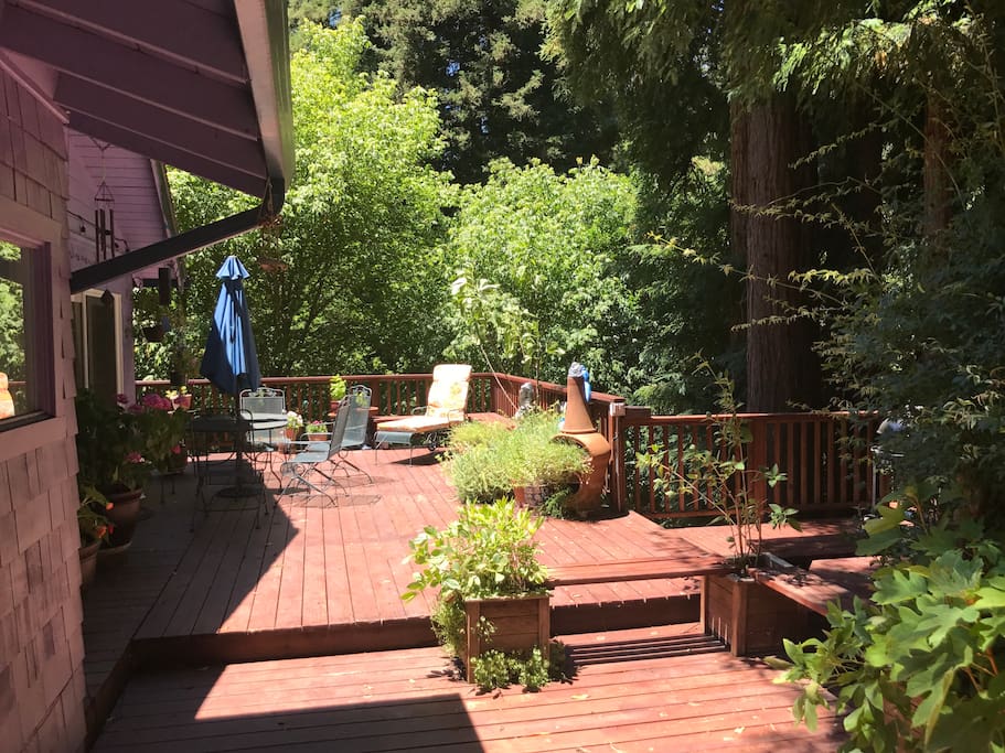 Large Deck