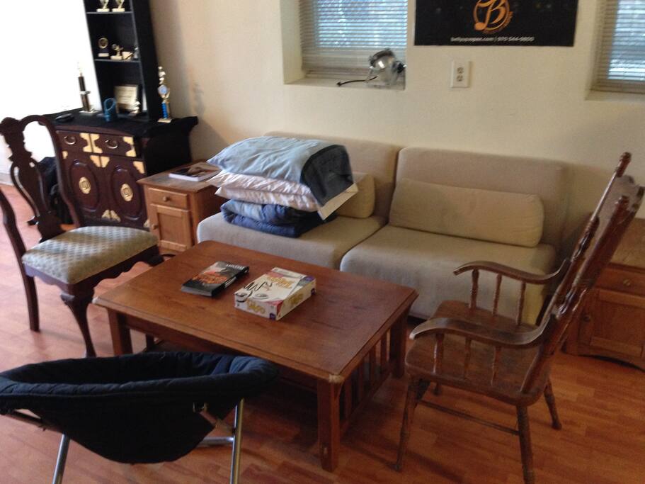 Living room. Pullout sofa for 3rd guest.