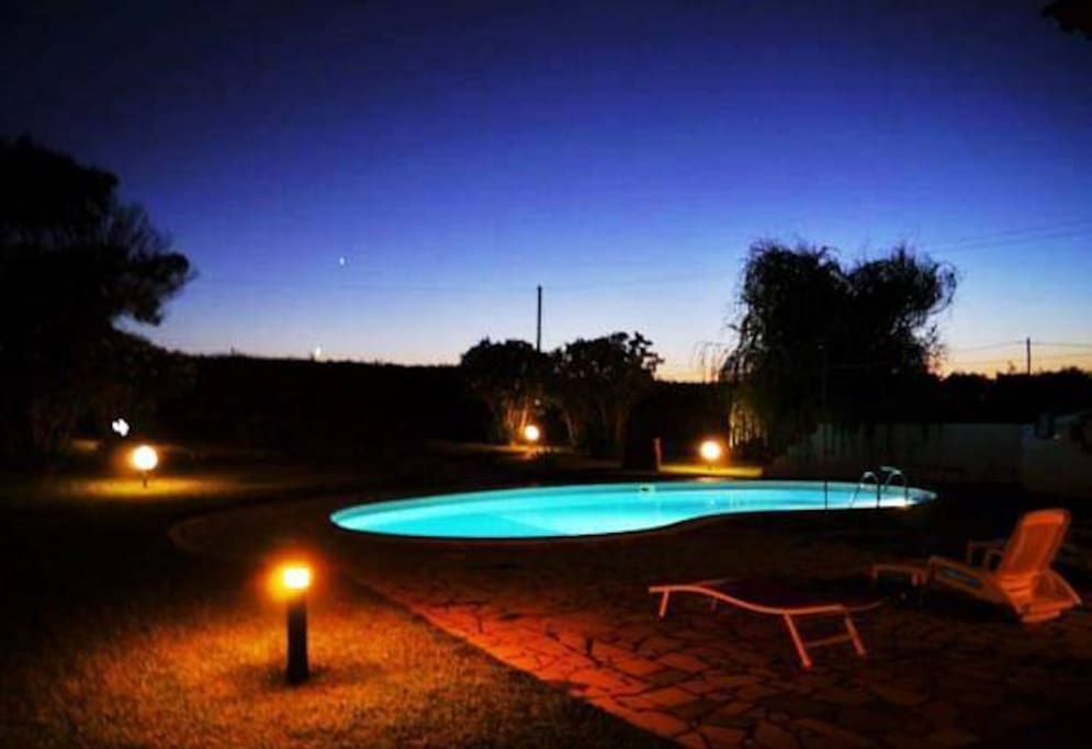 pool and garden at night