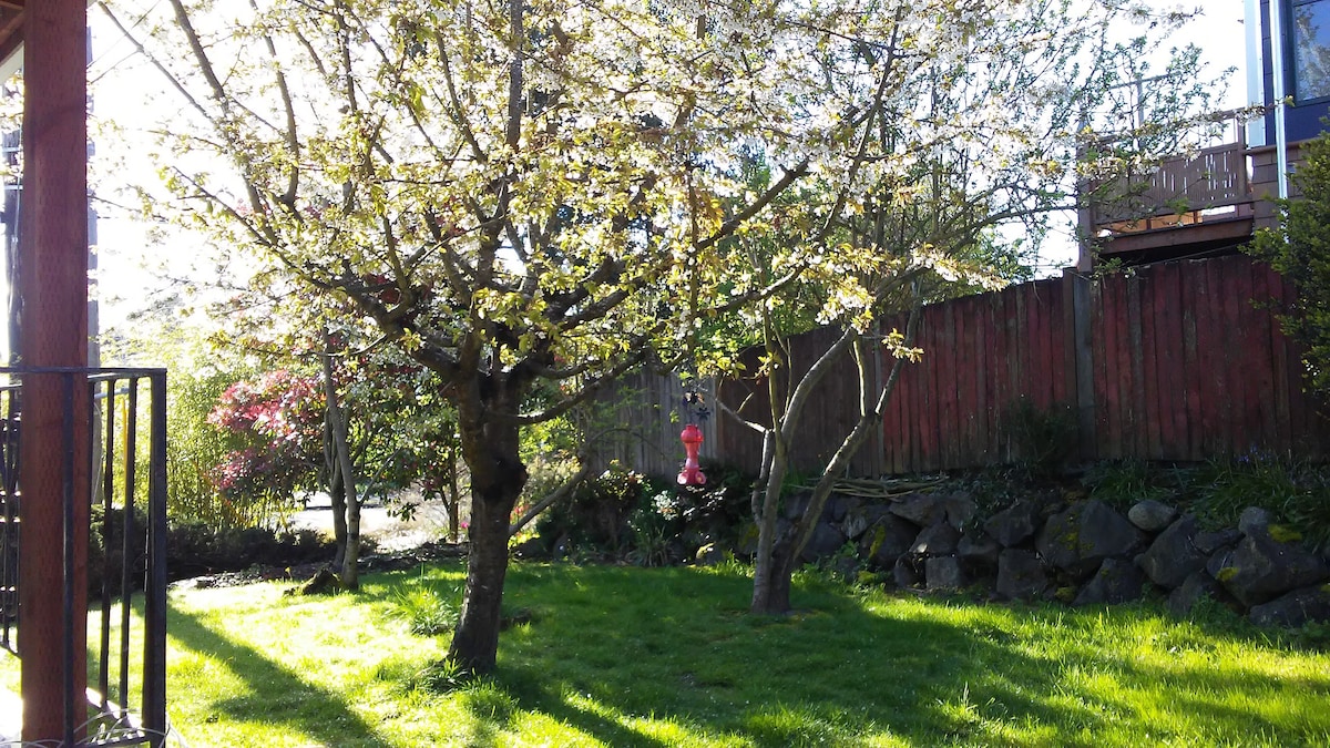 A tranquil garden area is featured with lush green grass and flowering trees, basking in sunlight. A stone wall and wooden fence create a natural boundary, while a pop of color from blooming plants adds charm to the serene outdoor scene.
