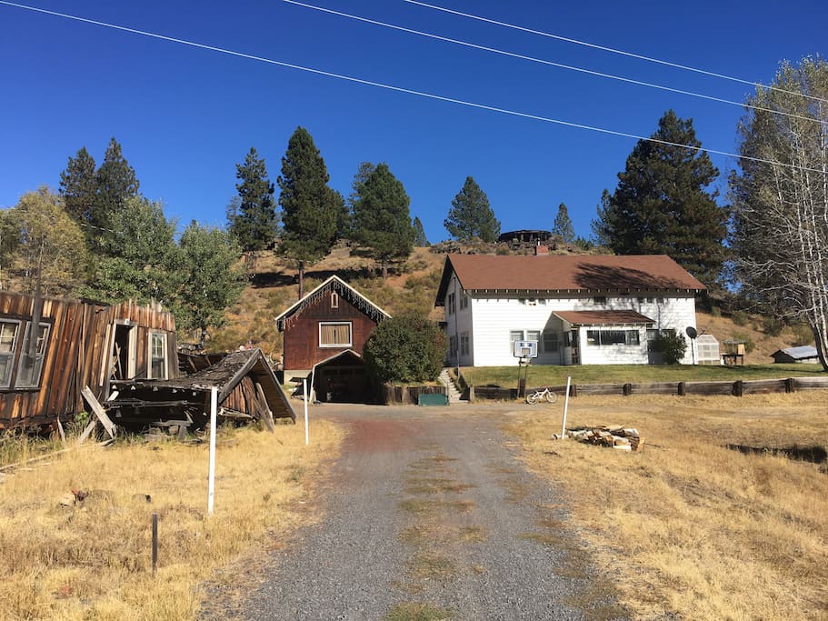Our house and guest cabin.