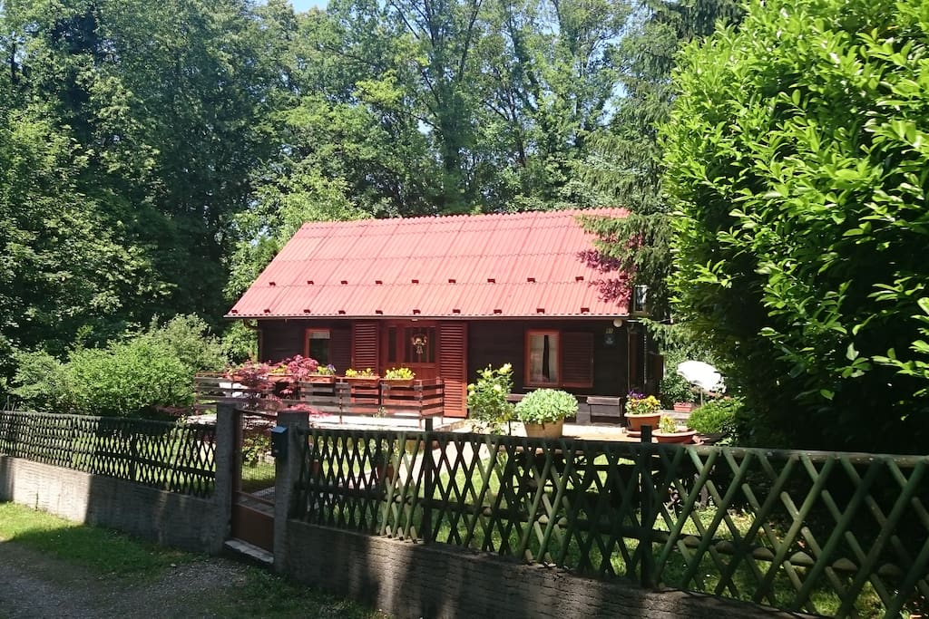 Front of the house