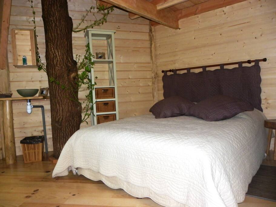 Un chêne traverse la cabane