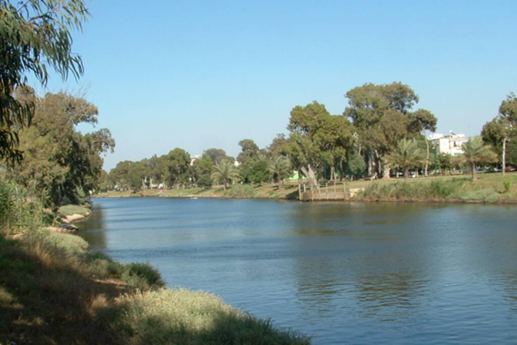 Beautiful huge park nearby (Hayarkon)