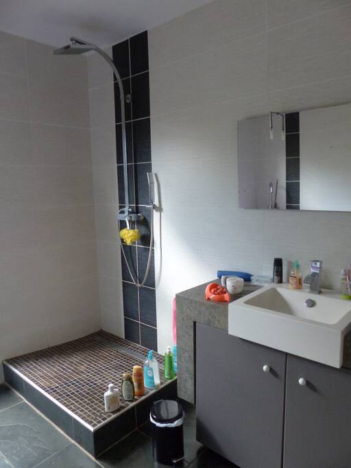 Salle de bain comportant une baignoire et une douche