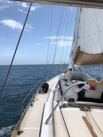 Vintage Sailboat Experience South Florida. gallery image 4