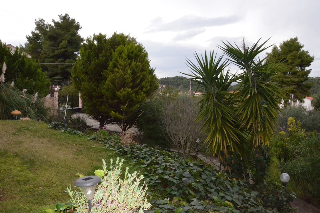 View to the garden.