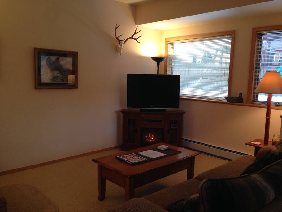 electric fireplace and heater