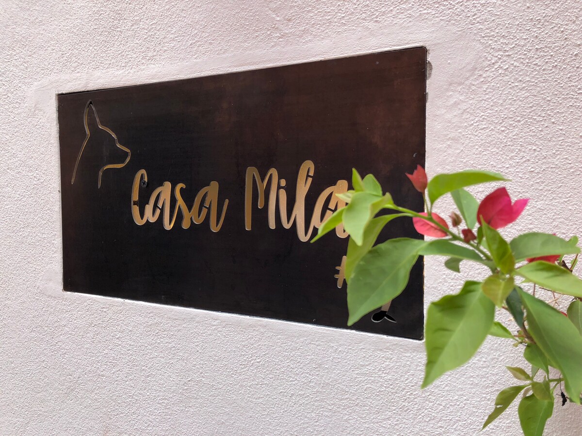 Casa Mila - Exquisite Home 3 Blocks to Center - Houses for Rent in