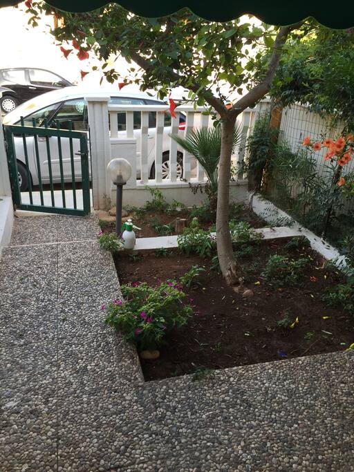 giardino lato strada 2