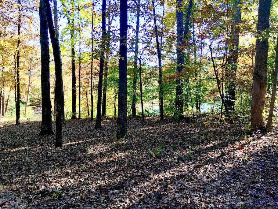 This is your view from the screened-in porch. Whether it's the changing colors of the leaves in the fall, or the stillness of the winter snow, or the lush trees in the spring, this cabin is quiet and peaceful.