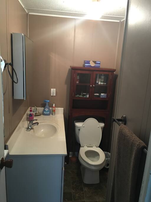 Master bathroom in bedroom #1