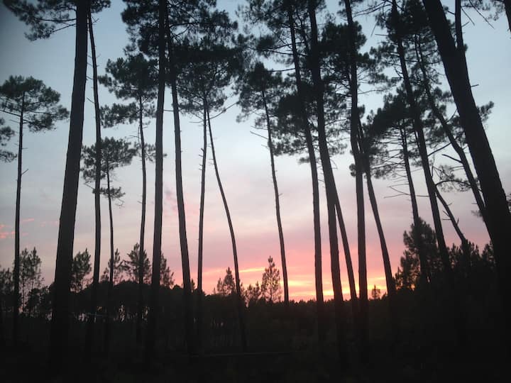 La Leyre Vacation Rentals Homes Nouvelle Aquitaine France Airbnb