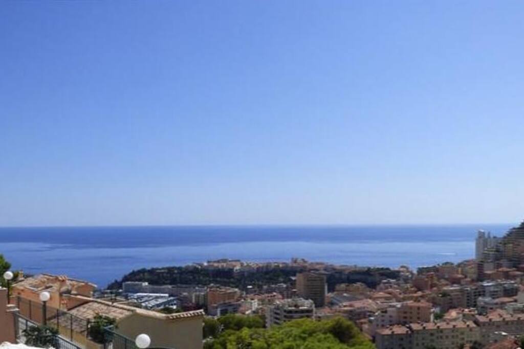 Panoramic sea view on the rock of Monaco and the Prince's Palace.