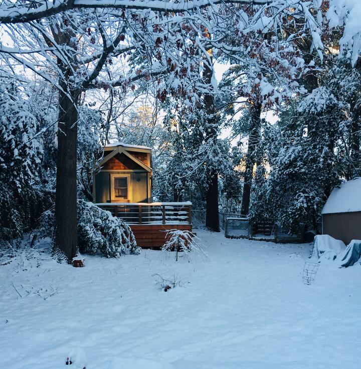 Tiny House in the Trees Guesthouses for Rent in Durham, North Carolina, United States Airbnb