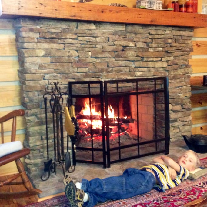 Wood burning fire place