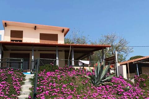 4 Bedroom Beachfront Cottage, Magic Sunsets!
