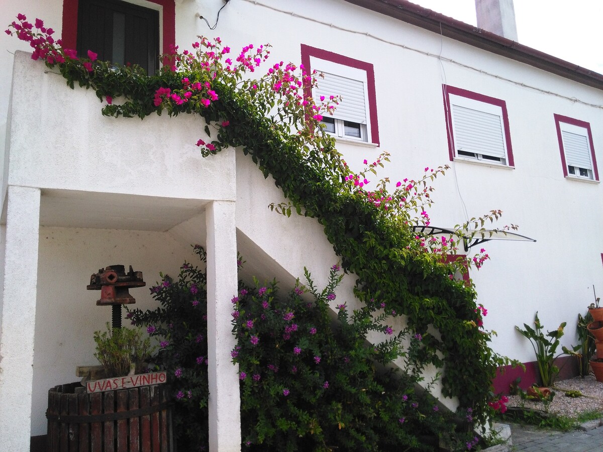 A charming white building features a staircase adorned with vibrant flowers cascading down from the upper level. A rustic wine press is positioned nearby, surrounded by lush green plants and blooming florals, enhancing the inviting exterior design.