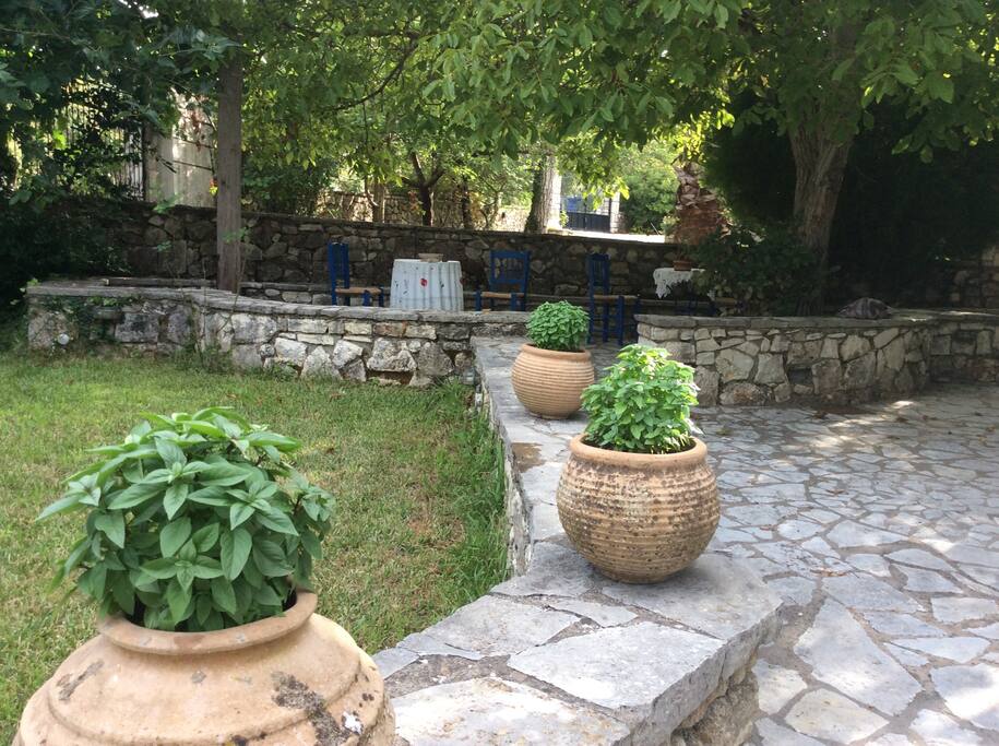 Garden view (2)