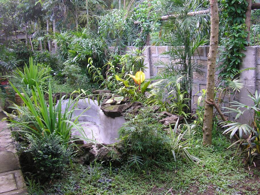 Rear garden