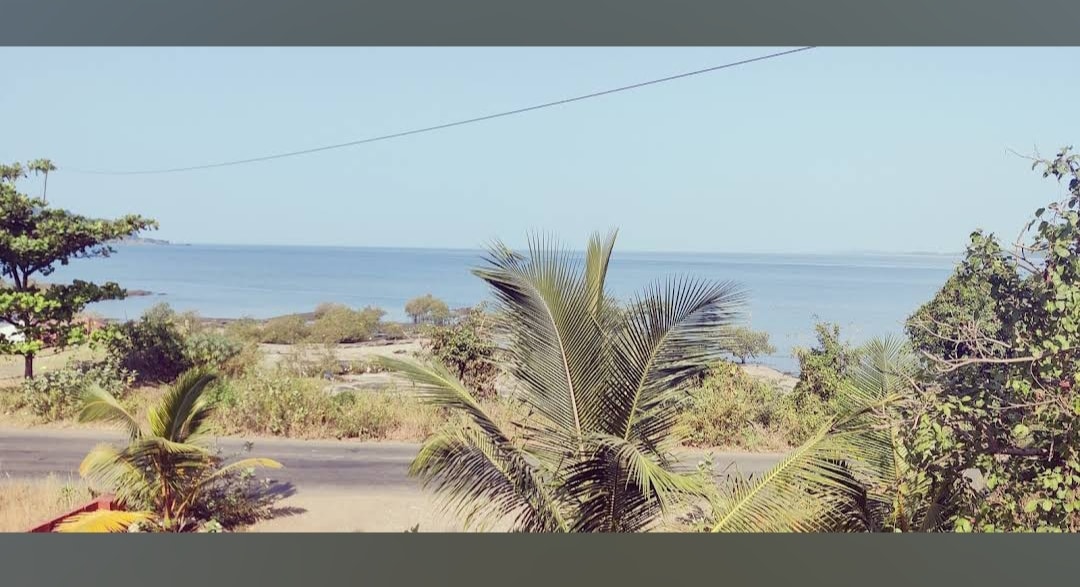 A serene coastal view stretches across the image, featuring calm blue waters meeting a clear sky. Lush palm trees and other greenery are seen in the foreground, while a coastline and distant land can be faintly perceived in the background.