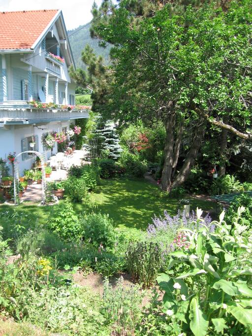 Blick in den Kräutergarten