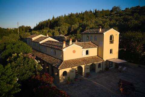 In the Heart of the Marche among Olive Trees and Vineyards