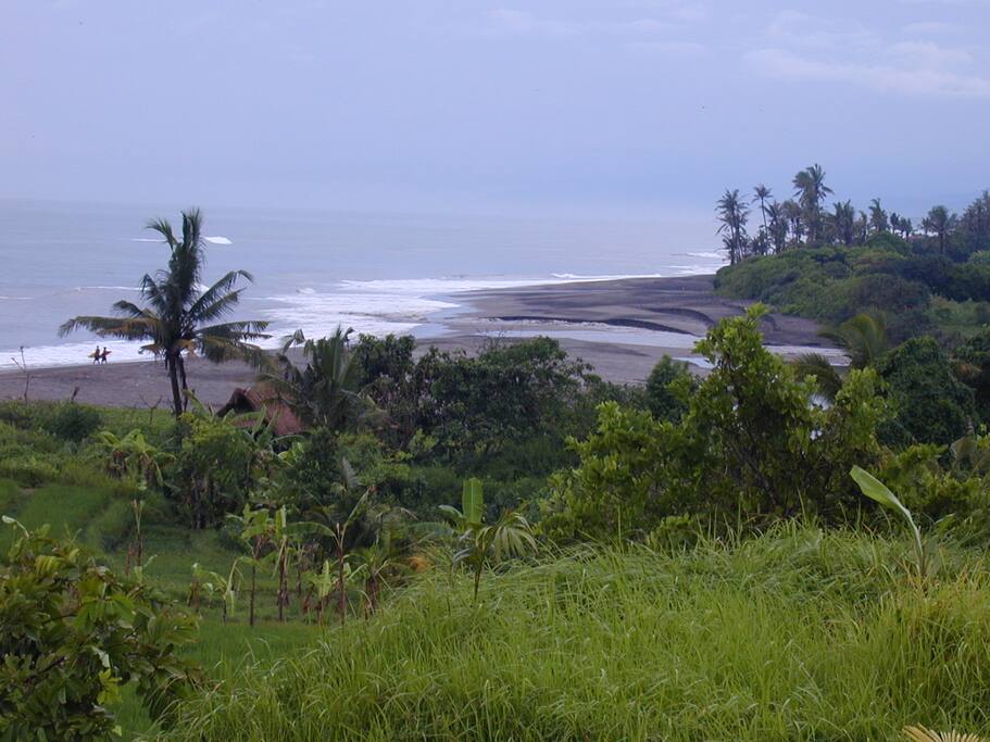 North West View